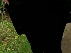 Gli adulti del massaggiatore incontreranno i desideri veri video casalinghi intimi di una ragazza